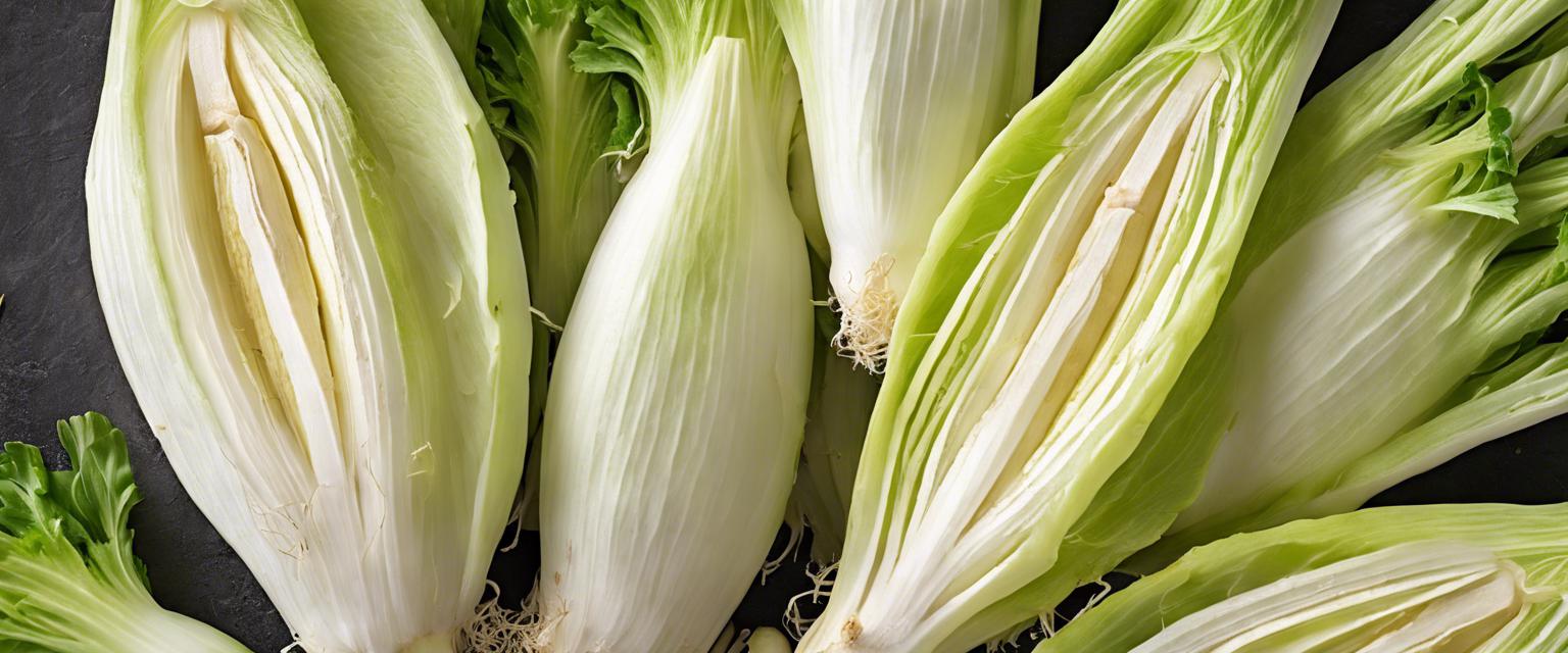 Guide complet sur les graines d'endive