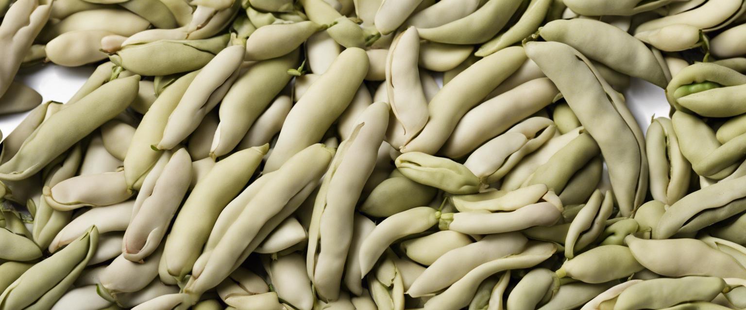 Variétés populaires de haricot à écosser