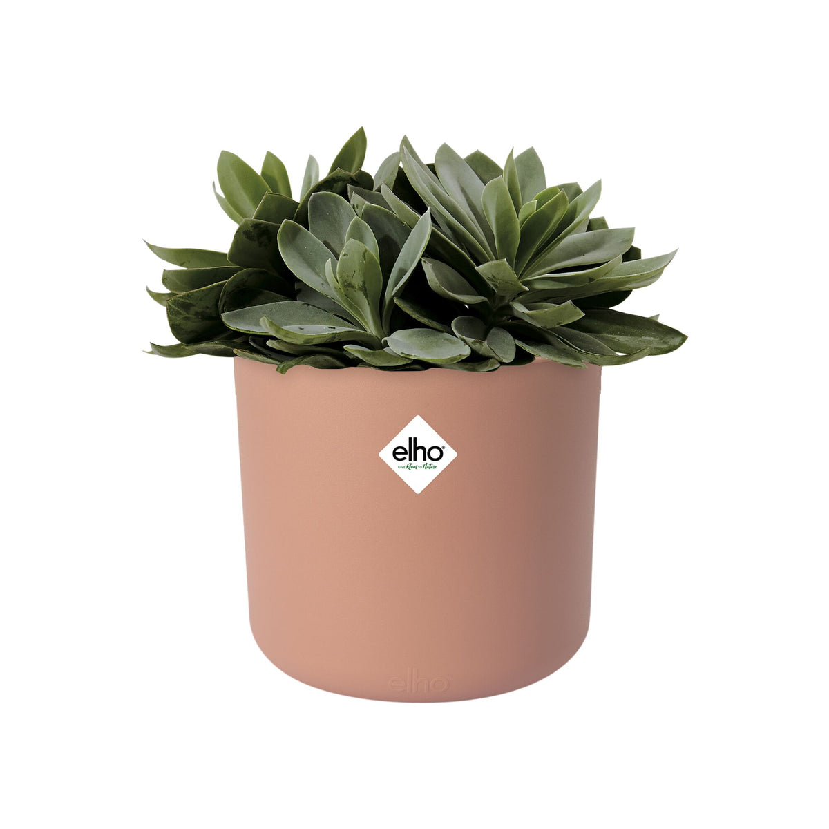 Cache-pot B for soft rond rose ELHO - - Willemse
