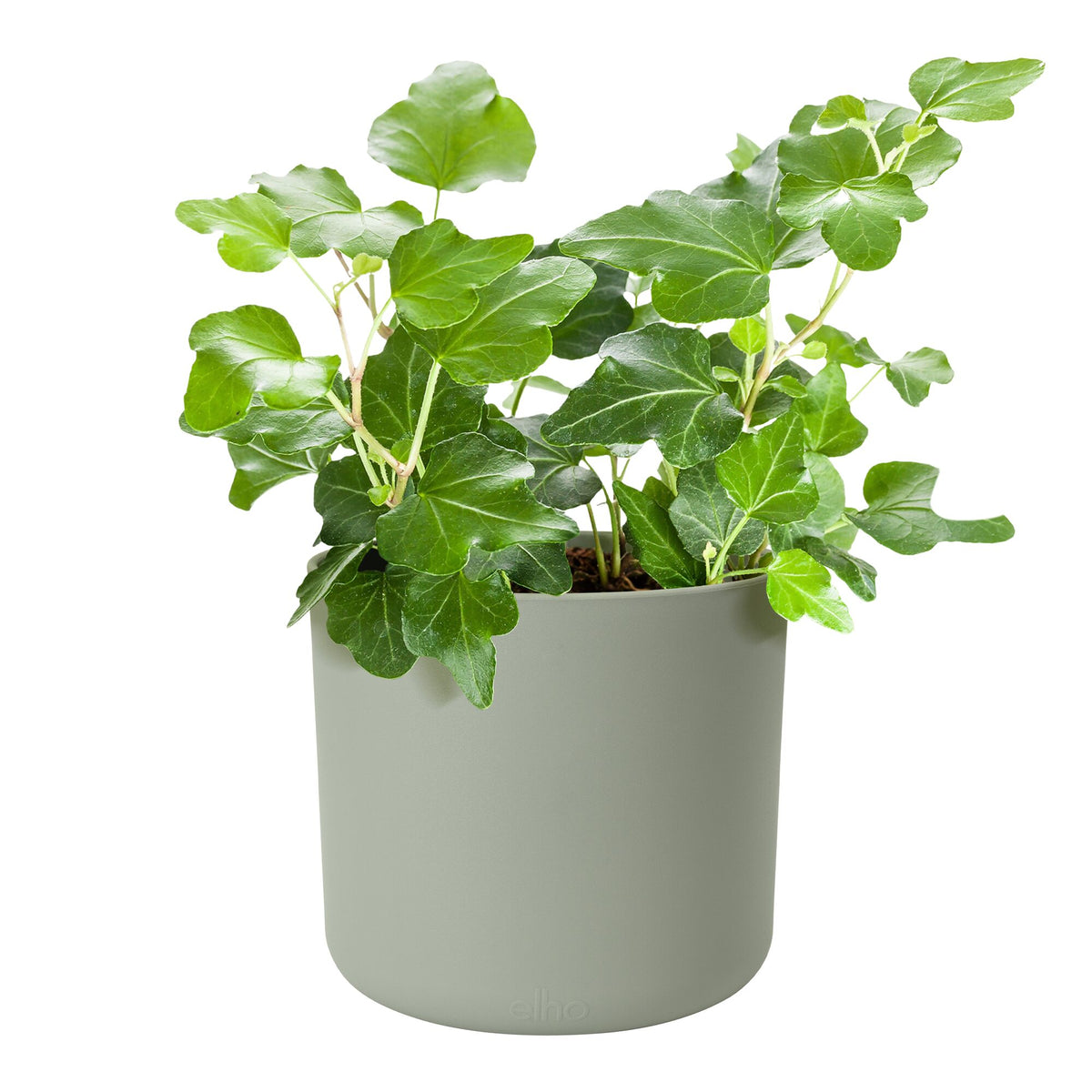 Cache-Pot Soft rond Vert pierre ELHO - - Willemse