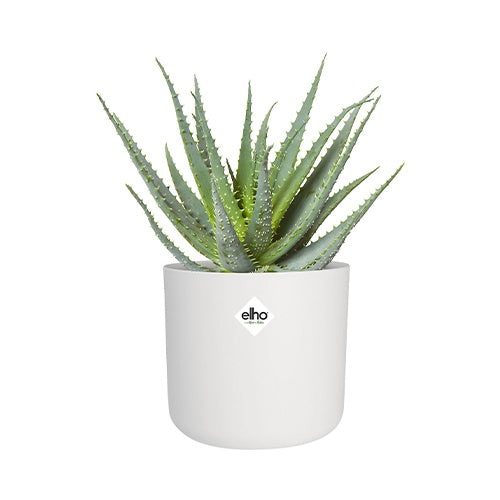 Elho Cache-pot B for soft rond blanc - - Willemse