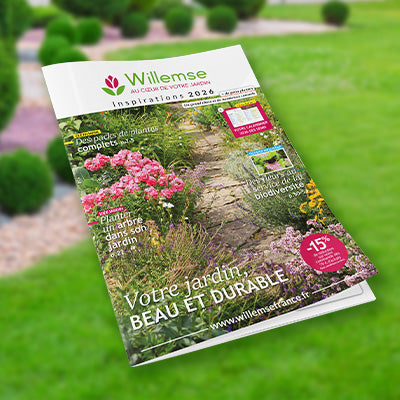 Commendez le catalogue inspiration 2026 Willemse !