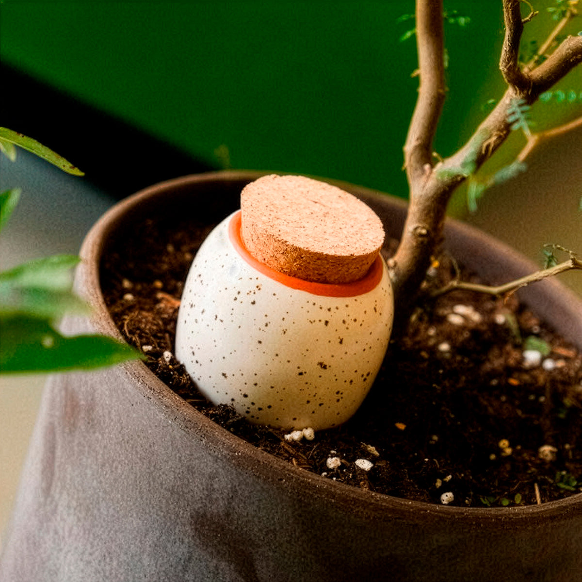 Olla hydratante blanc grainé - - Willemse
