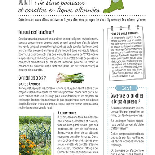 Les plantes compagnes - - Willemse