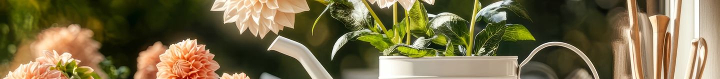 Balcon fleuri en automne