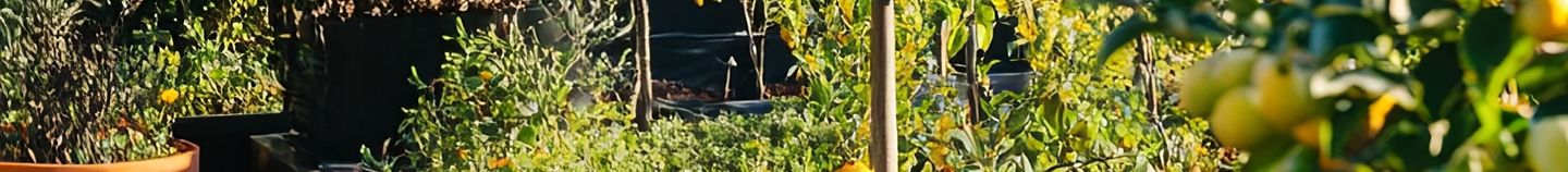 Balcon gourmand