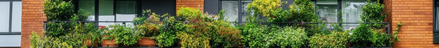 Balcon type jungle
