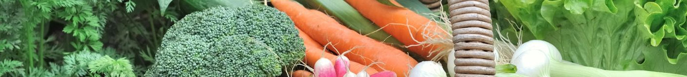 Potager productif