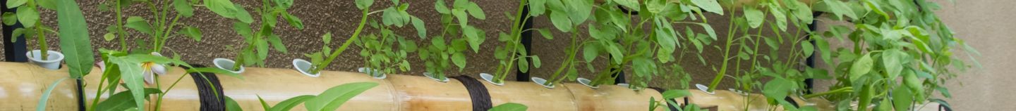 Potager vertical