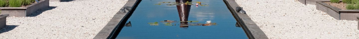 Bassin moderne