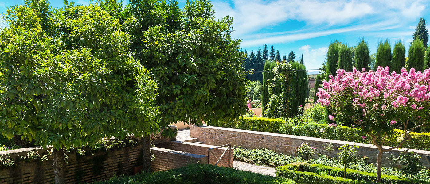 Un jardin adapté au climat old