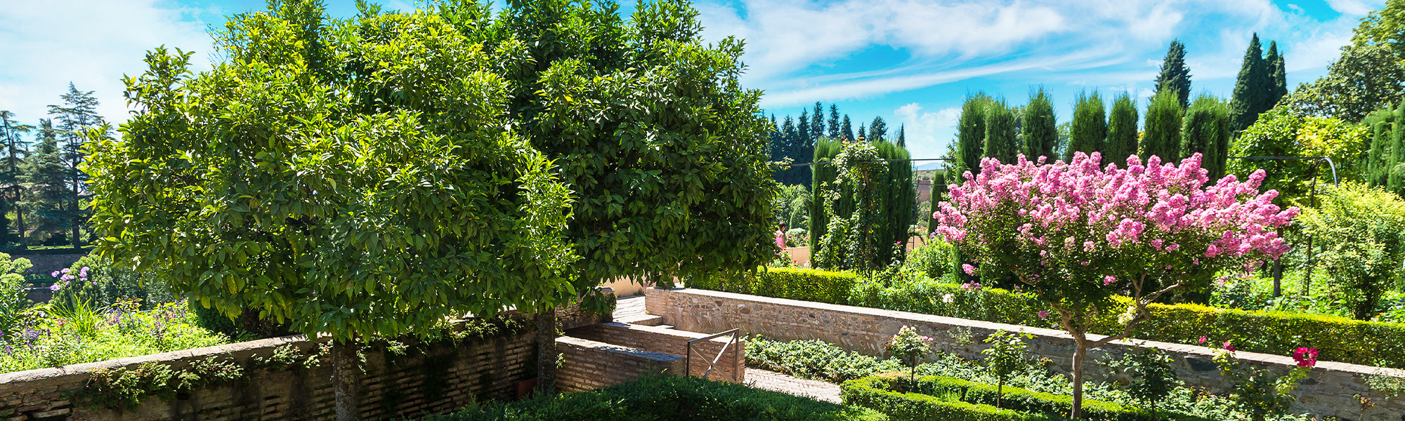 Un jardin adapté au climat old