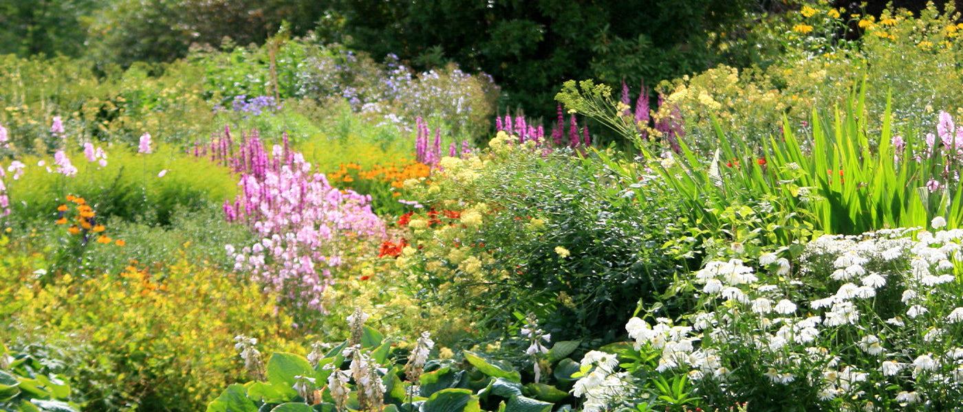 Jardin fleuri toute l’année