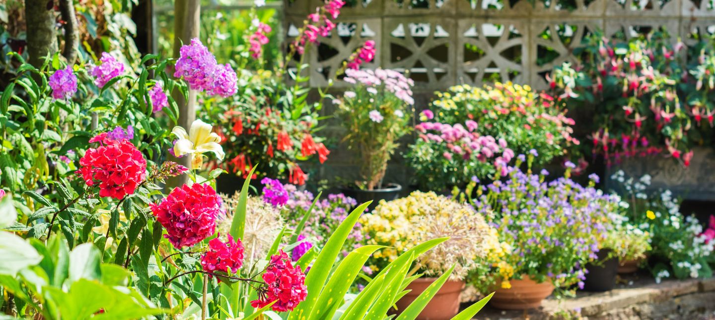 Jardin de ville