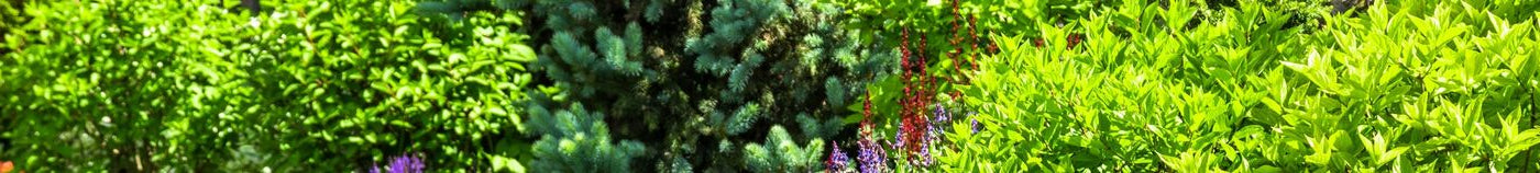 Jardin de campagne