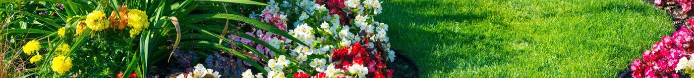Jardin paysager