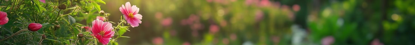 Jardin fleuri en automne