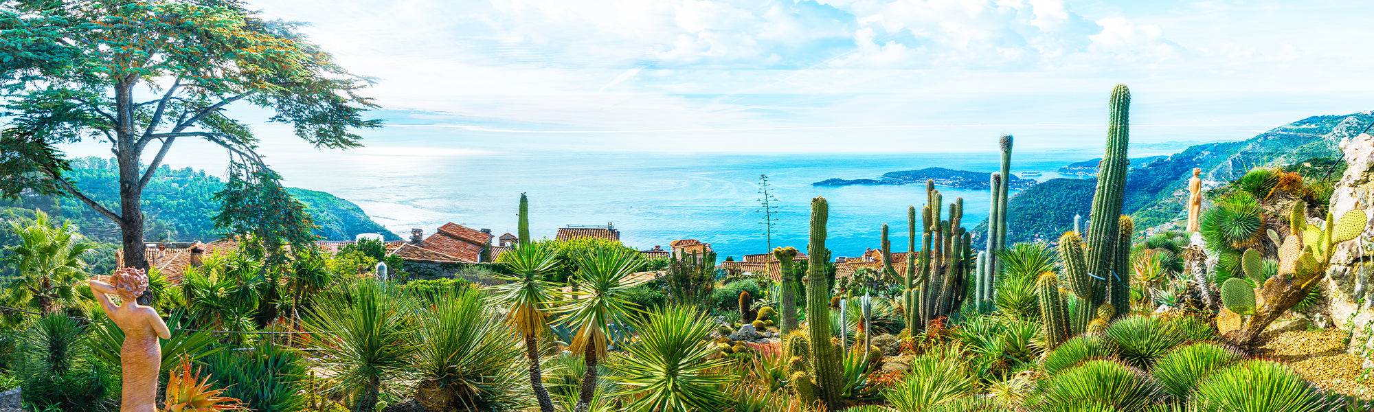 Plantes pour les bords de mer