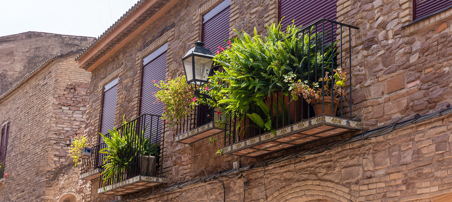 Balcon plantes persistantes