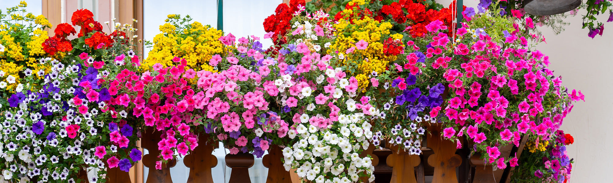 Balcon en fleurs - 30%