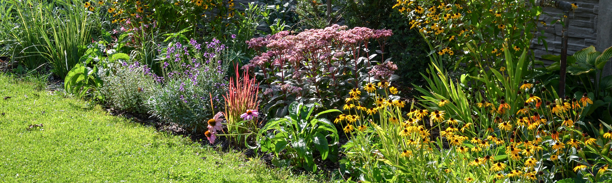 Plantes à floraison tardive | -10%