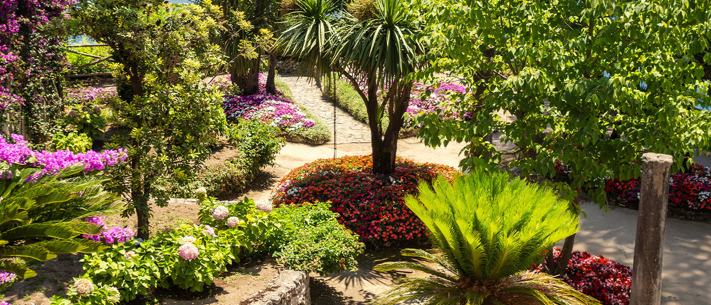 Jardin exotique | -30%