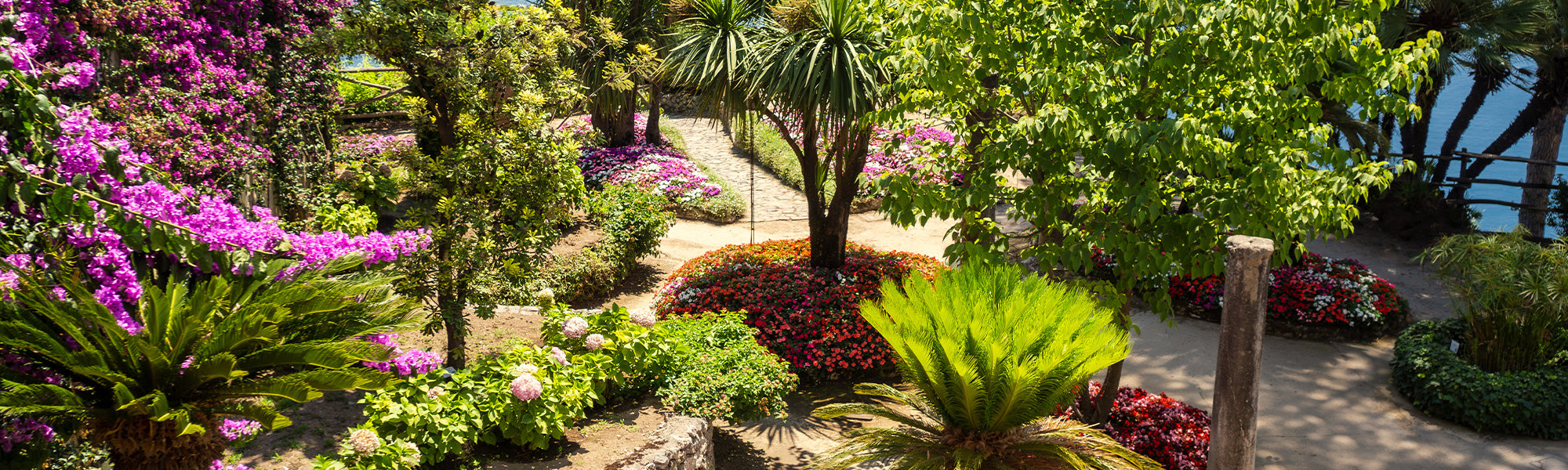 Jardin exotique | -30%