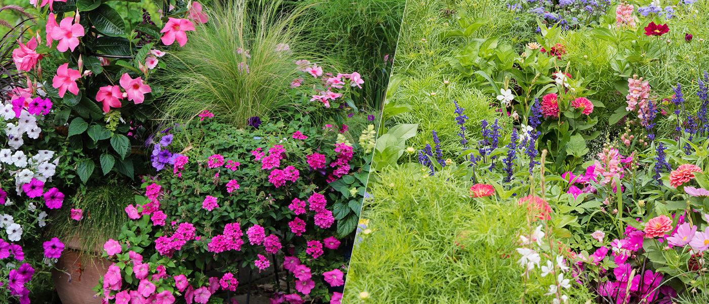 Le jardin n’attend pas | -10%