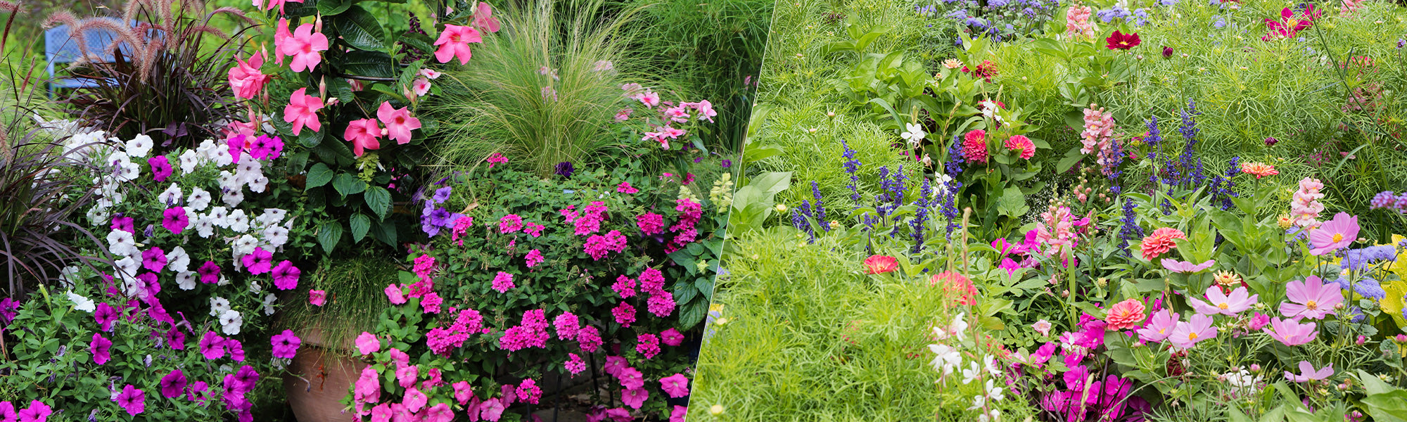 Le jardin n’attend pas | -30%