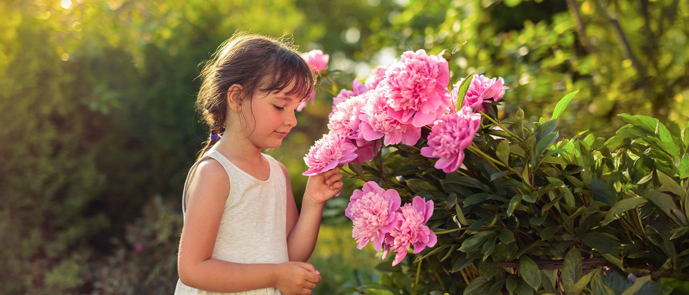 Jardin des senteurs | -10%