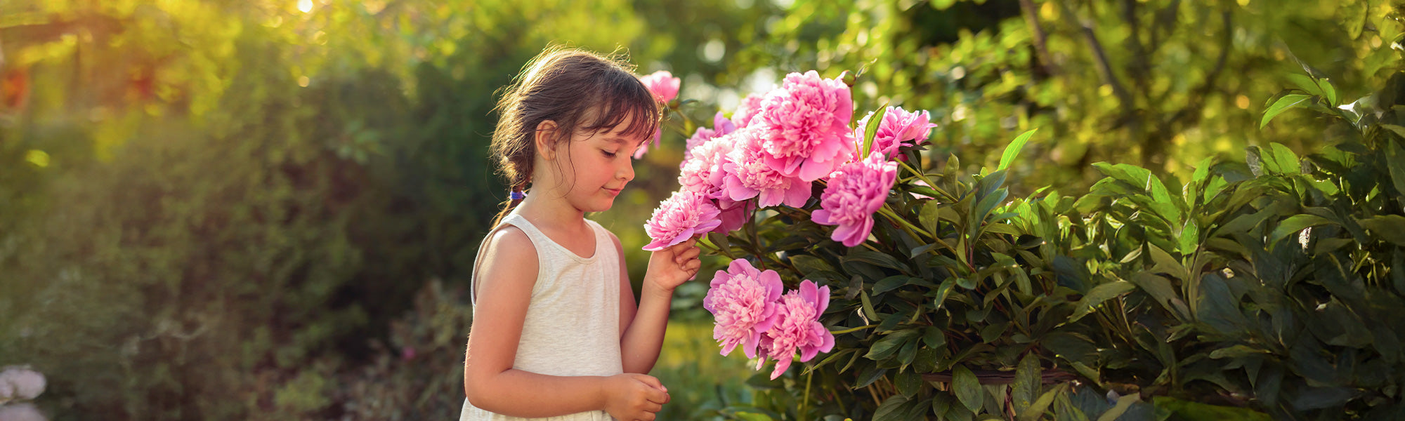 Jardin des senteurs | -10%