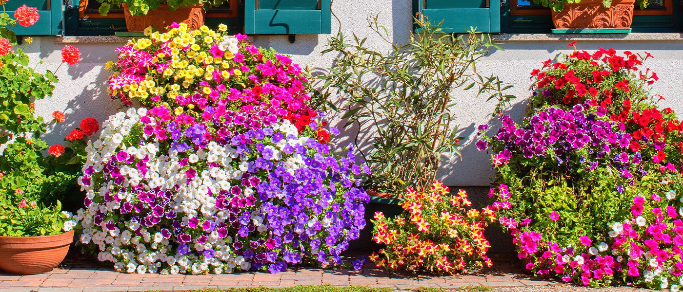 Jardin en ville | -10%
