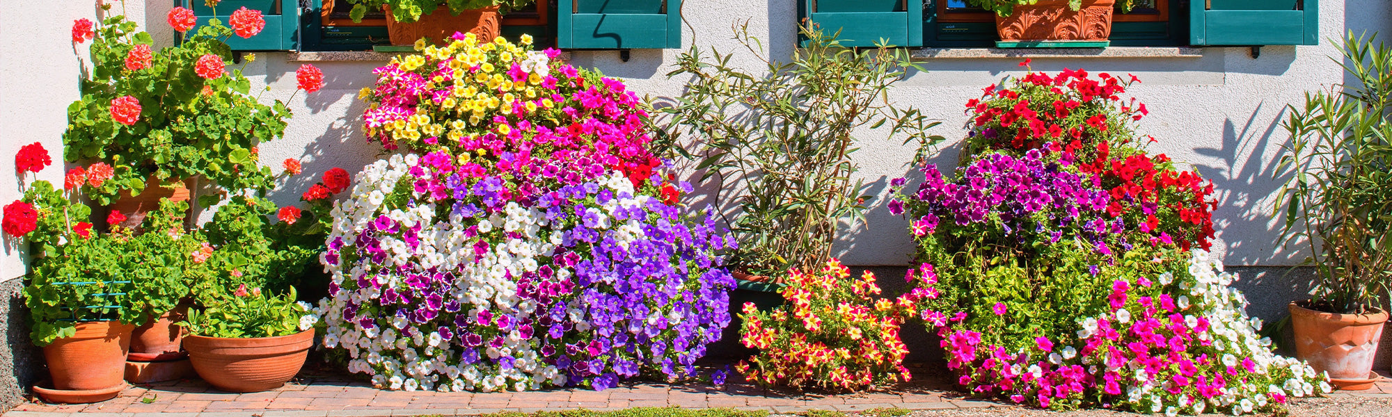 Jardin en ville | -20%