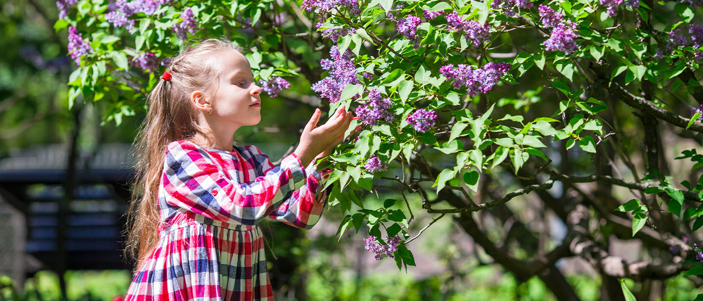 Focus sur le jardin sensoriel…
