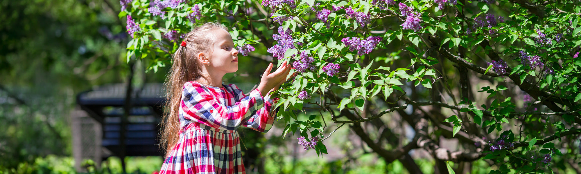 Focus sur le jardin sensoriel…