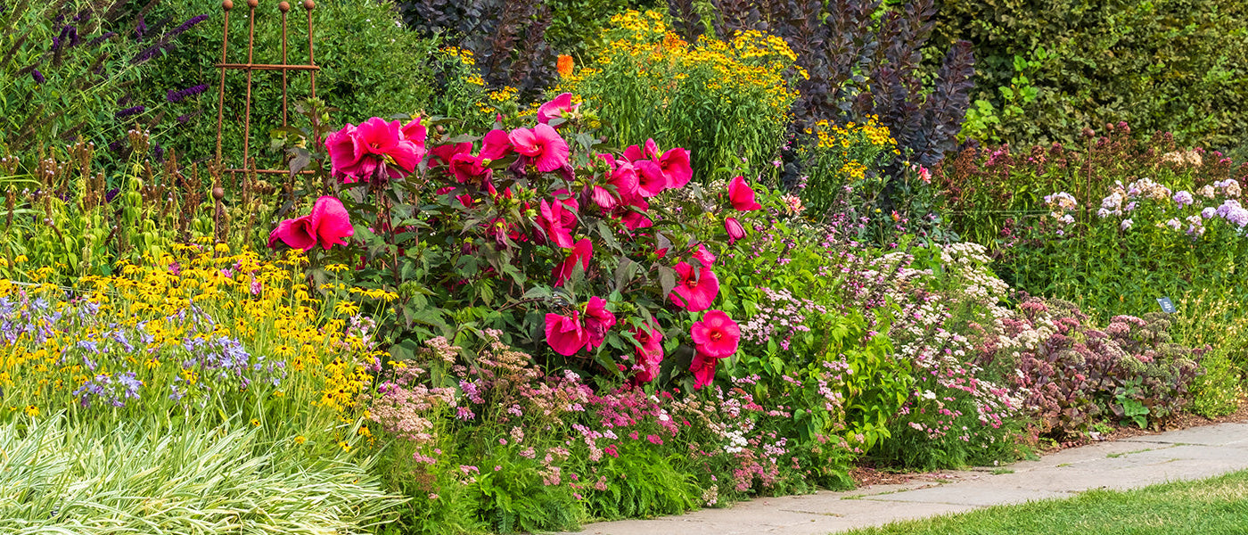 Inspiration massif fleuri