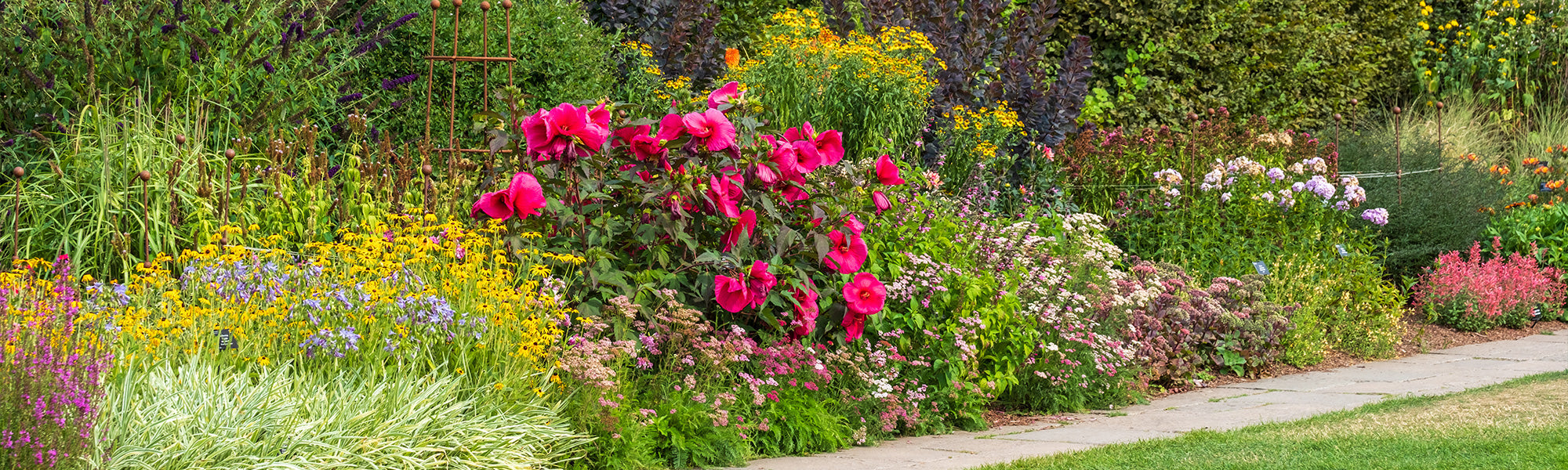 Inspiration massif fleuri