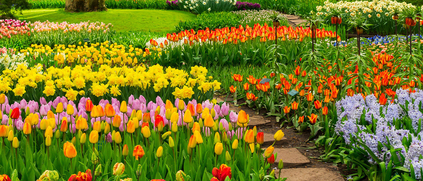 Un printemps haut en couleurs : jusqu'à -30% !