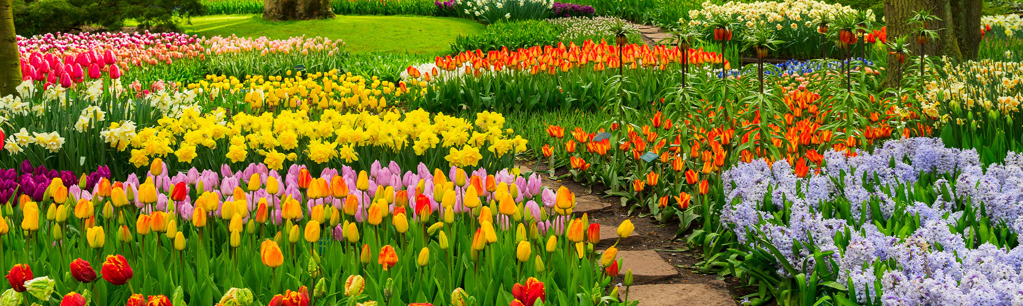 Un printemps haut en couleurs | -20%