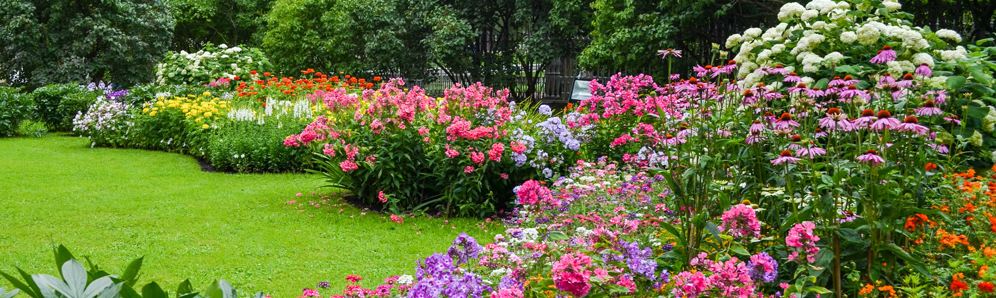 Jusqu'à -30% pour prolonger la floraison !