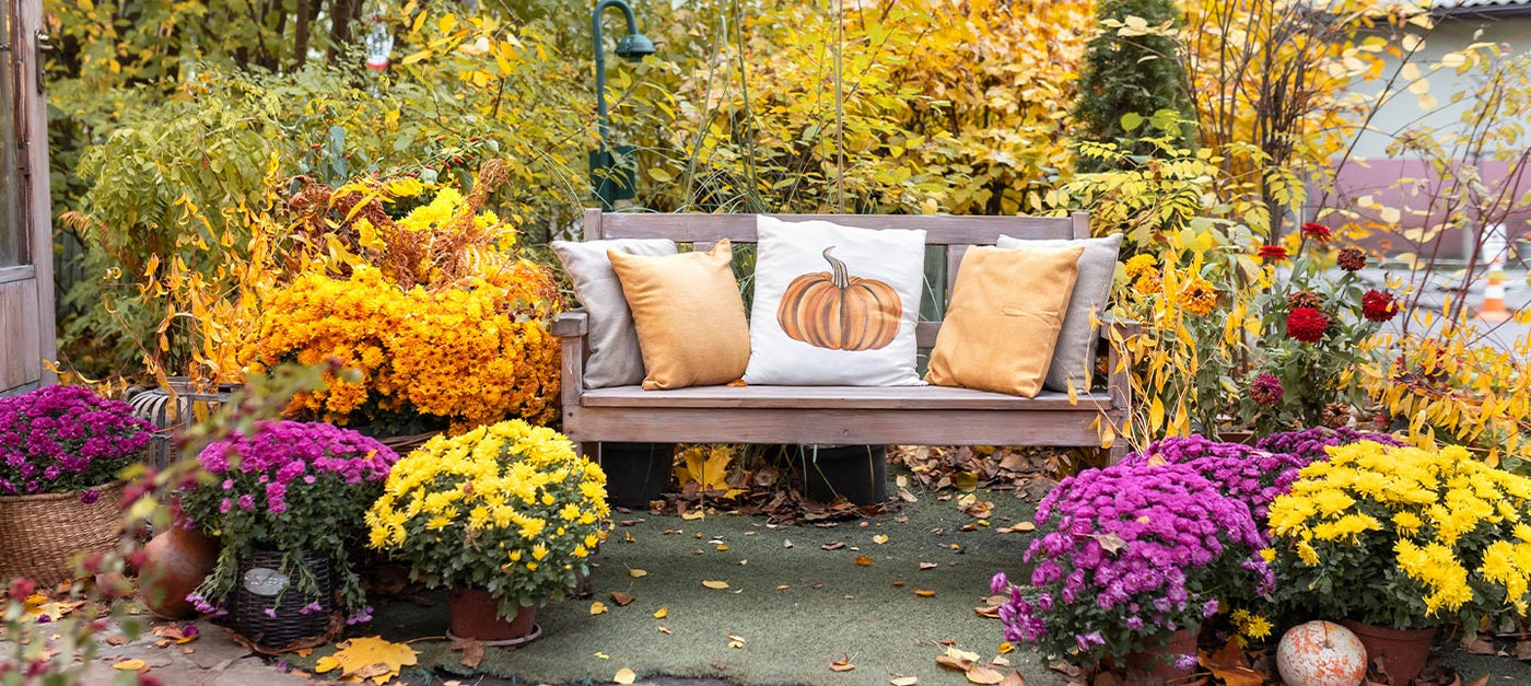 Jardin fleuri en automne