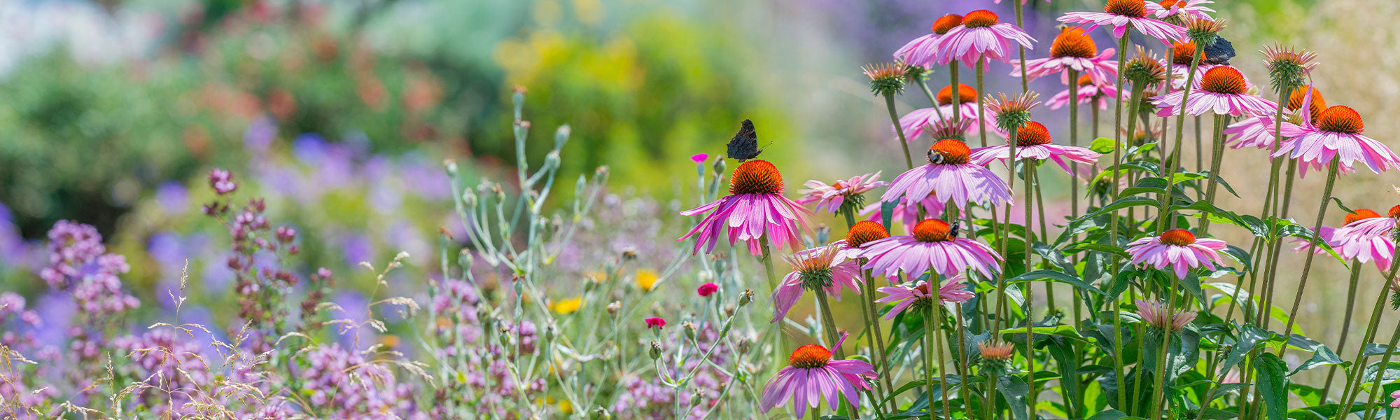 Jardin naturel et écologique