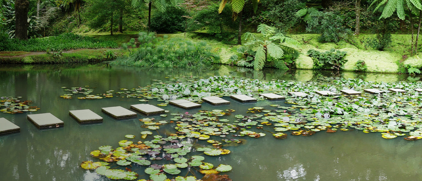 Aménagement du bassin