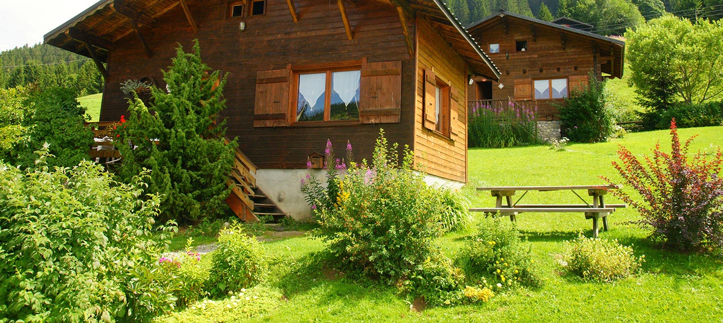 Plantes pour climat montagnard