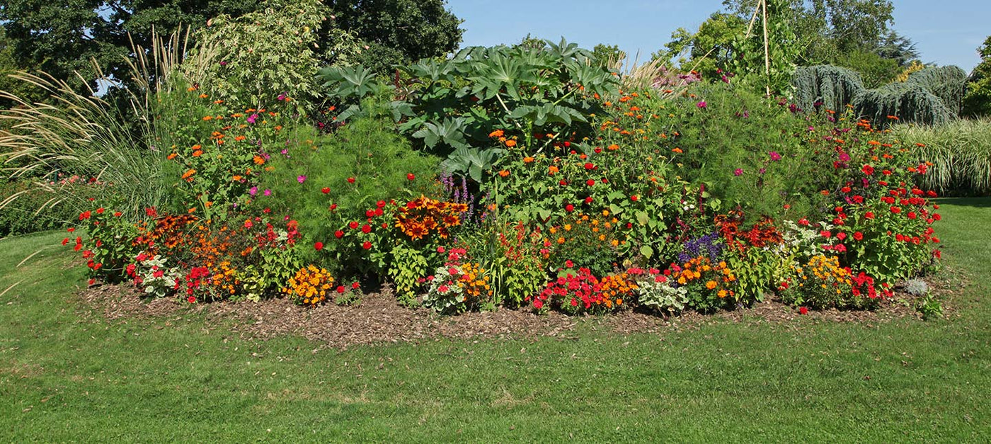 Plantes pour massif