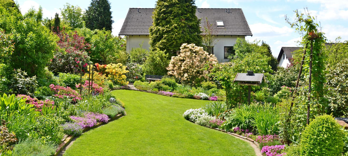 Plantes pour un jardin tempéré