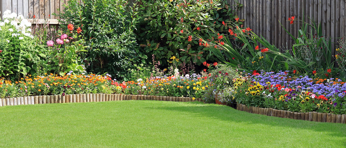 Jardin