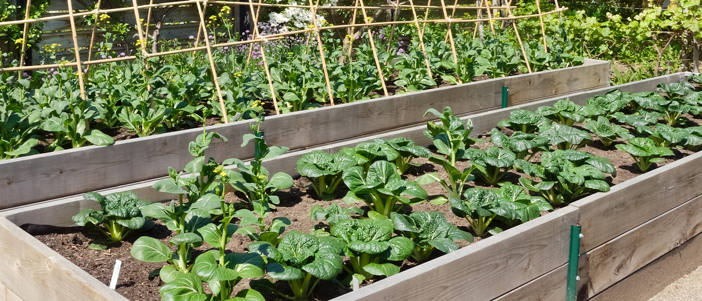 Un potager personnalisé