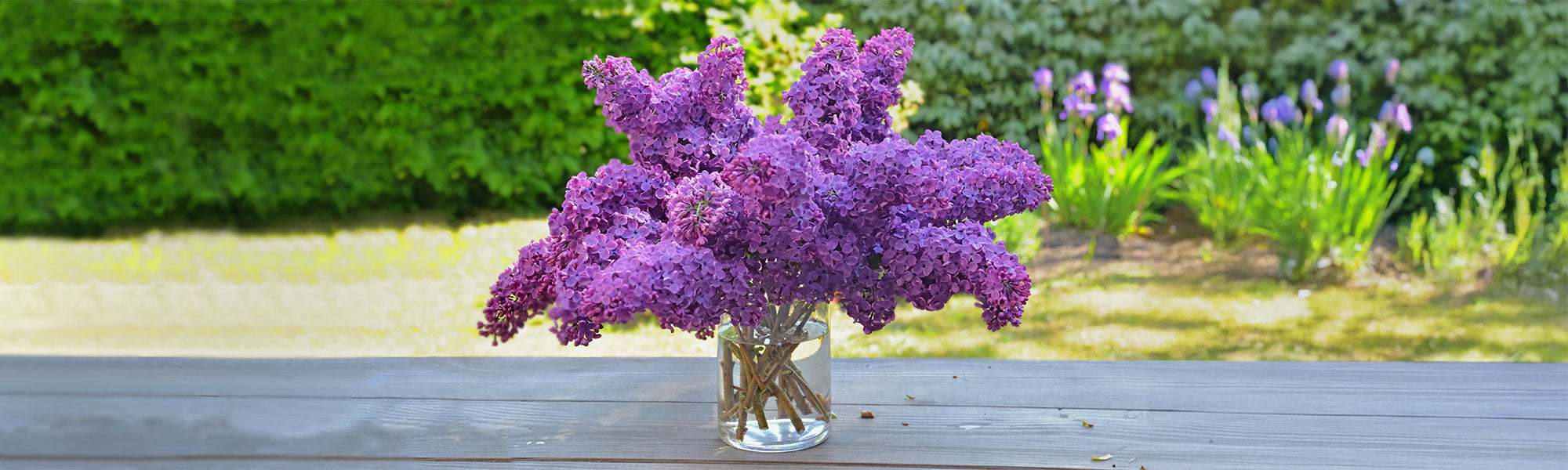 Arbustes pour bouquets