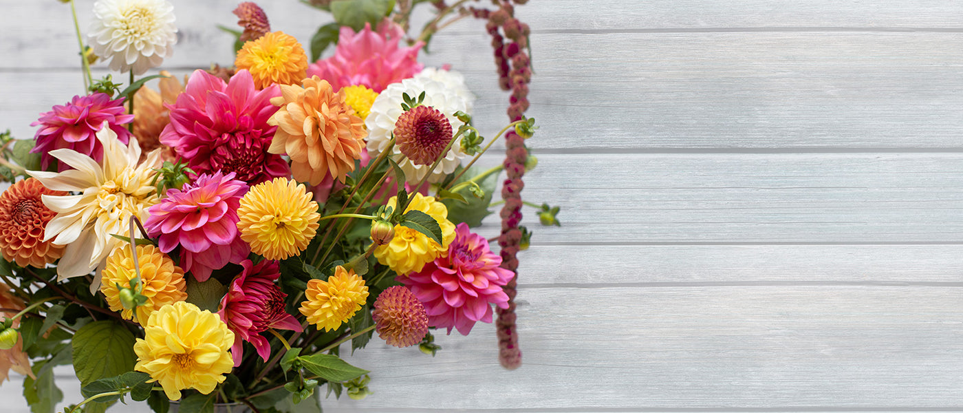 Bulbes à fleurs pour bouquets